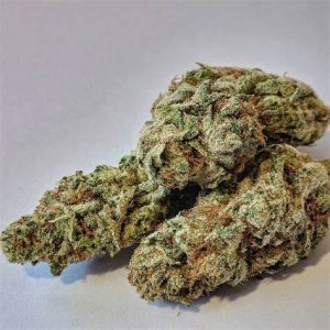 Buy Cannabis Online Kalgoorlie - Boulder Buy Weed In Australia. Its effects are strong and come quickly before dissipating to a euphoric and creative high.