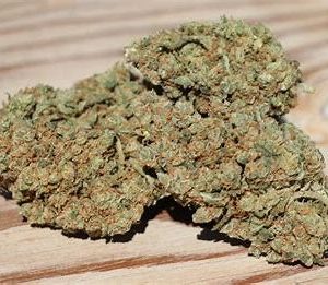 Where to Buy Weed Online Griffith Buy Cannabis Online Australia. Consumers typically describe this sativa hybrid as blissful, clear-headed, and creative.