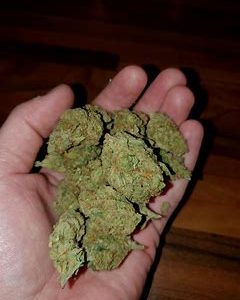 Buy Cannabis Online Brisbane Buy Weed Online Brisbane Where To Buy Cannabis Online In Brisbane 420 Delivery Brisbane. Are THC Weeds are All Grade AA+