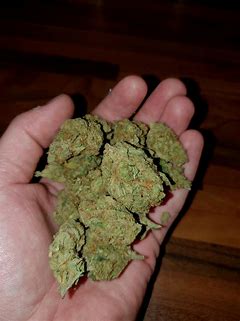Buy Cannabis Online Brisbane Buy Weed Online Brisbane Where To Buy Cannabis Online In Brisbane 420 Delivery Brisbane. Are THC Weeds are All Grade AA+