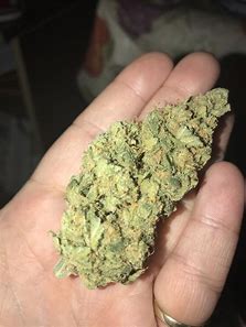 Buy Weed Online Perth Buy Cannabis Online Perth Buy THC Weed Online Perth 420 Delivery Perth. Blue Dream is the perfect strain with which to use while hanging out with friends. It will not overwhelm you.
