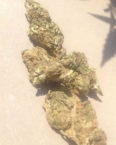 Where to Buy Cannabis Online Whyalla Buy Weed Online Whyalla. It has gained popularity worldwide for its sweet smell and energetic, uplifting effects.
