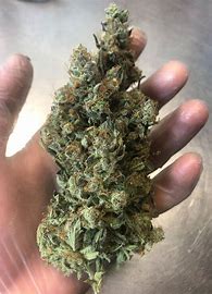 Where to Buy Cannabis Online Geraldton Buy Weed In Australia. The strain is known to be an expert at leveling out your mood and relieving stress.