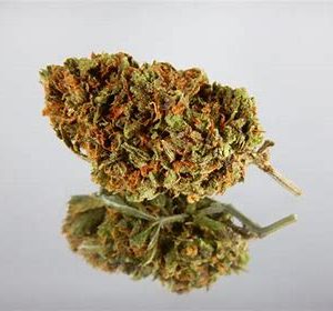 Buy Cannabis Online Coffs Harbour Buy Weed Online In Australia. It provides uplifting effects that energize you while staying calm and free from stress.