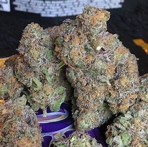 Where To Buy Cannabis Online Cairns Buy Weed Online In Cairns. Its effects are clearly detectable delivering a fusion of cerebral euphoria and relaxation.