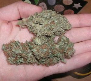 Where to Buy Cannabis Online Hobart Buy Weed Online Australia. Its known for its relaxing effects, making it an excellent choice for stress relief and pain.