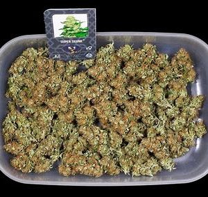 Where to Buy Cannabis Online In Brisbane Buy Weed In Brisbane. It produces bold, relaxing effects that you can feel through your entire body.