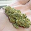 Where to Buy Weed Online Australia Buy Weed online In Australia. Its a great daytime strain that may help consumers fight fatigue, stress, and depression.