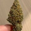 Where To Buy Cannabis Online In Darwin Buy Weed In Australia. You'll be left feeling numb to pain, relaxed, but mentally stimulated and productive.