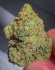 Where to Buy Weed Online In Melbourne Buy Weed In Melbourne. It produces a high that leave consumers feeling relaxed, creative, and buzzy from head-to-toe.